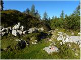 Konec ceste na Vogar - Planina Lopučnica